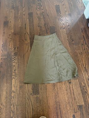 Everlane Olive Green Striped A-Line Skirt